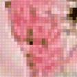 Предпросмотр схемы вышивки «розовое чудо» (№61037)
