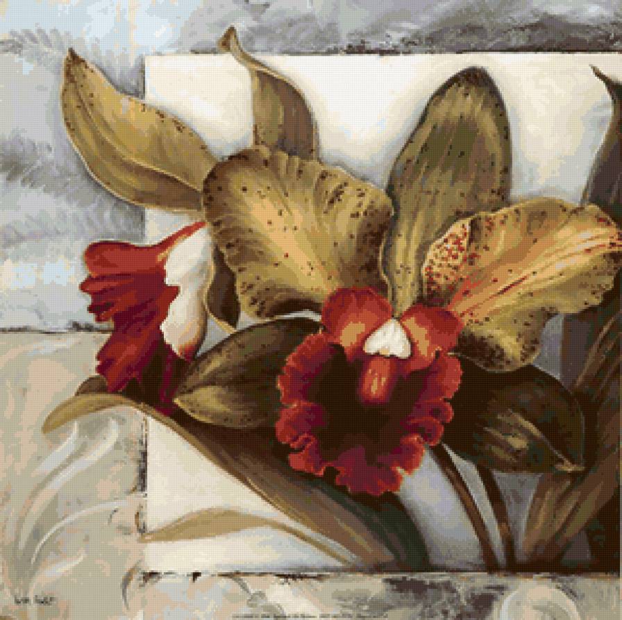 Орхидеи - цветы - предпросмотр