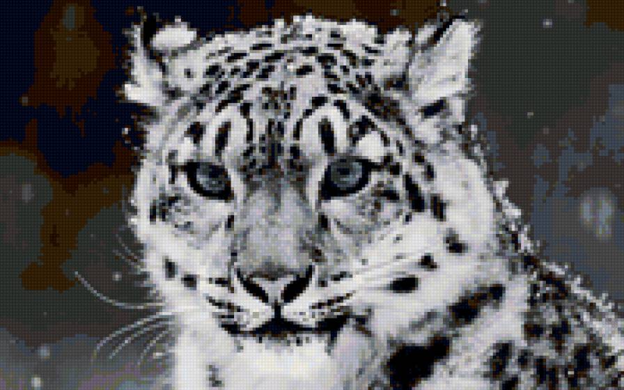 киса - предпросмотр