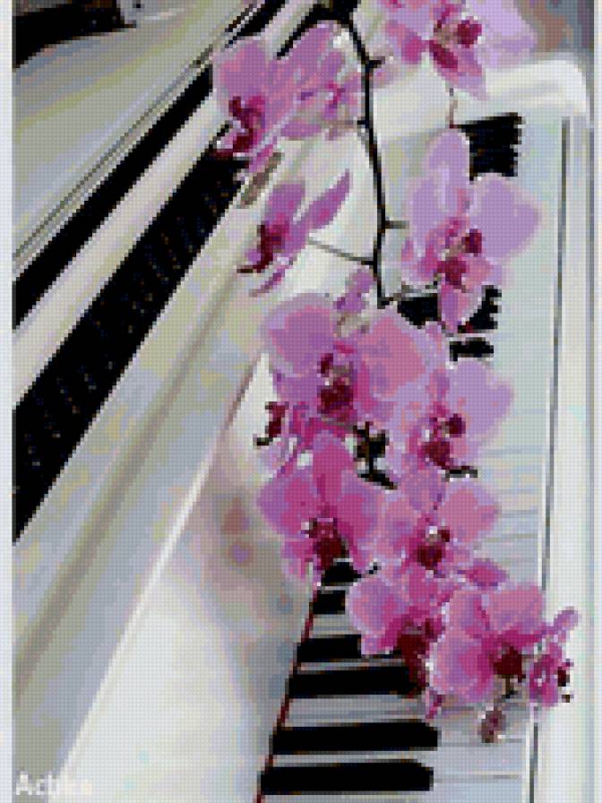 Орхидея - цветок, рояль, орхидея - предпросмотр