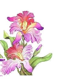 №61387 - цветы - оригинал