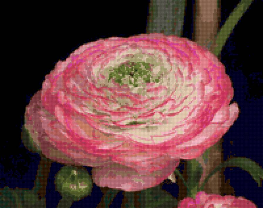 №61390 - цветок, цветы - предпросмотр