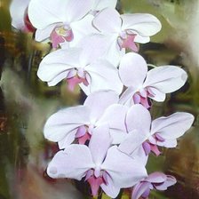 Оригинал схемы вышивки «орхидеи» (№61837)