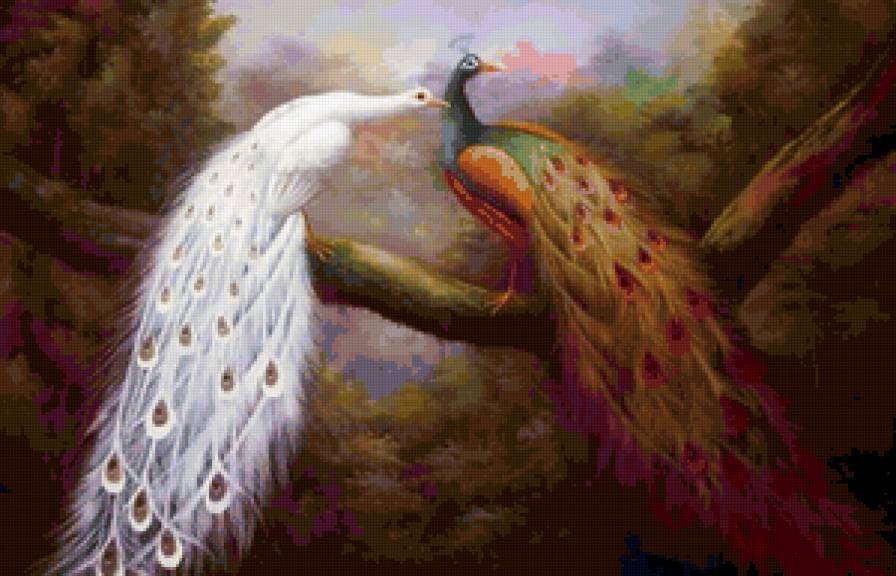 павлинчики - предпросмотр