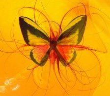 Оригинал схемы вышивки «бабочка» (№61900)
