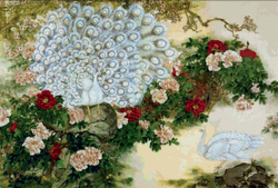 белые павлины - предпросмотр