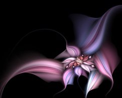 цветоок - оригинал