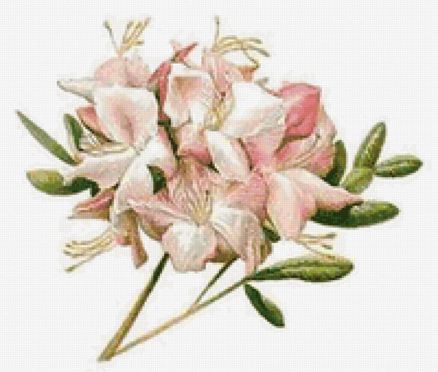 №61974 - предпросмотр