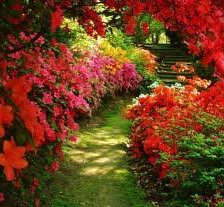 Схема вышивки «№62010»