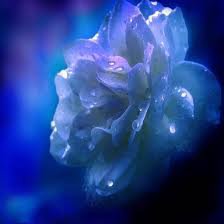 №62039 - оригинал