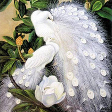 Схема вышивки «№62082»