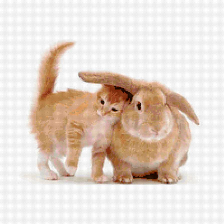 рыжики - предпросмотр