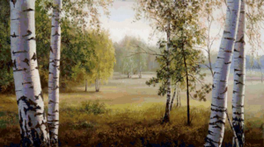 Березы - березы - предпросмотр