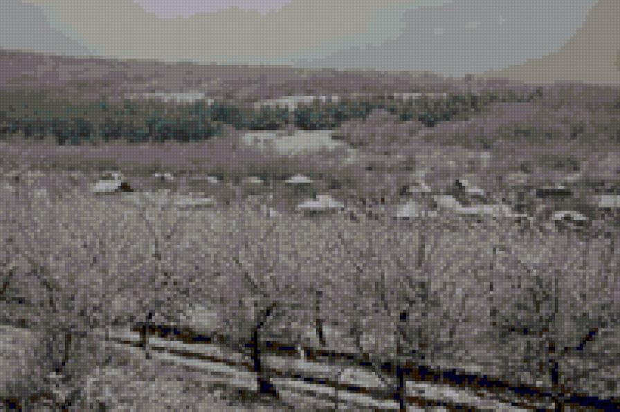 winter - winter, landscape - предпросмотр