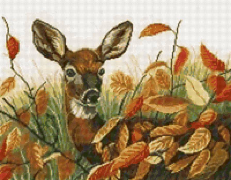 Олень - олень, животные, лес - предпросмотр