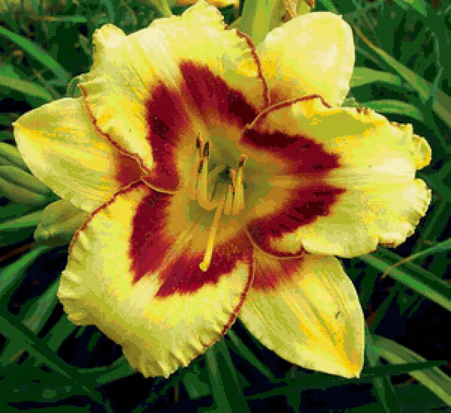 Лилия - цветы, подушка - предпросмотр