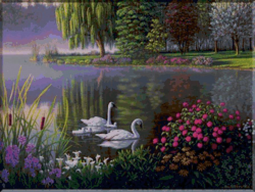 лебединое озеро - озеро, природа, пейзаж, лебеди - предпросмотр