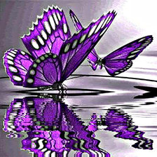 Оригинал схемы вышивки «бабочки над водой» (№63719)