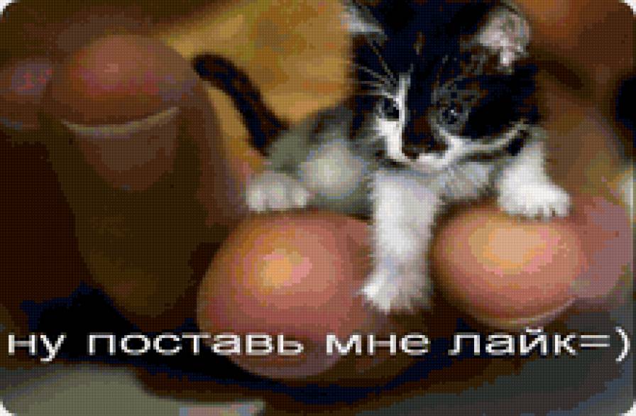 Поставь мне лайк - малыш, котенок, кот - предпросмотр