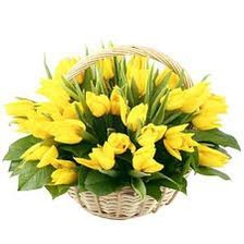 Желтые тюльпаны 3