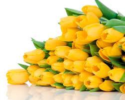 Желтые тюльпаны 5 - оригинал