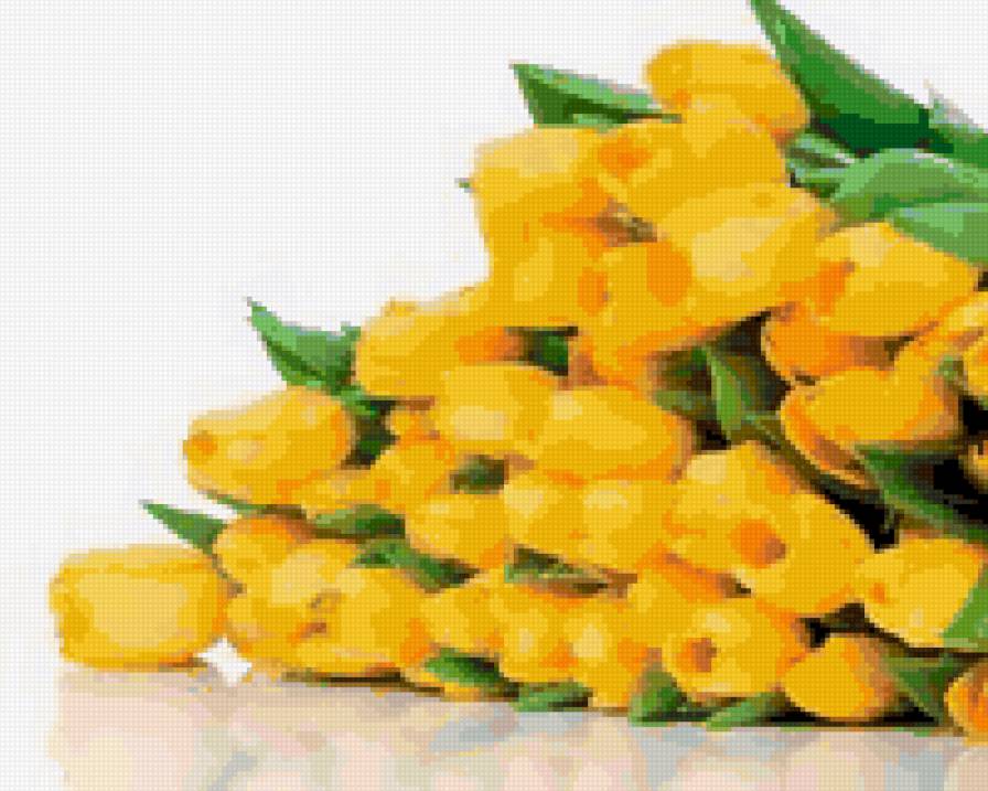 Желтые тюльпаны 5 - предпросмотр