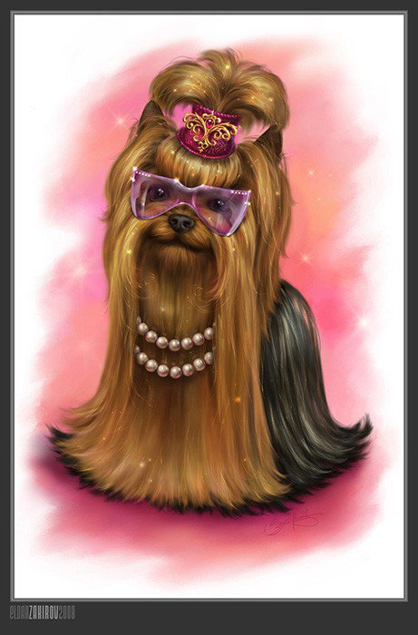 собачка - собаки, животные, гламур, собака - оригинал