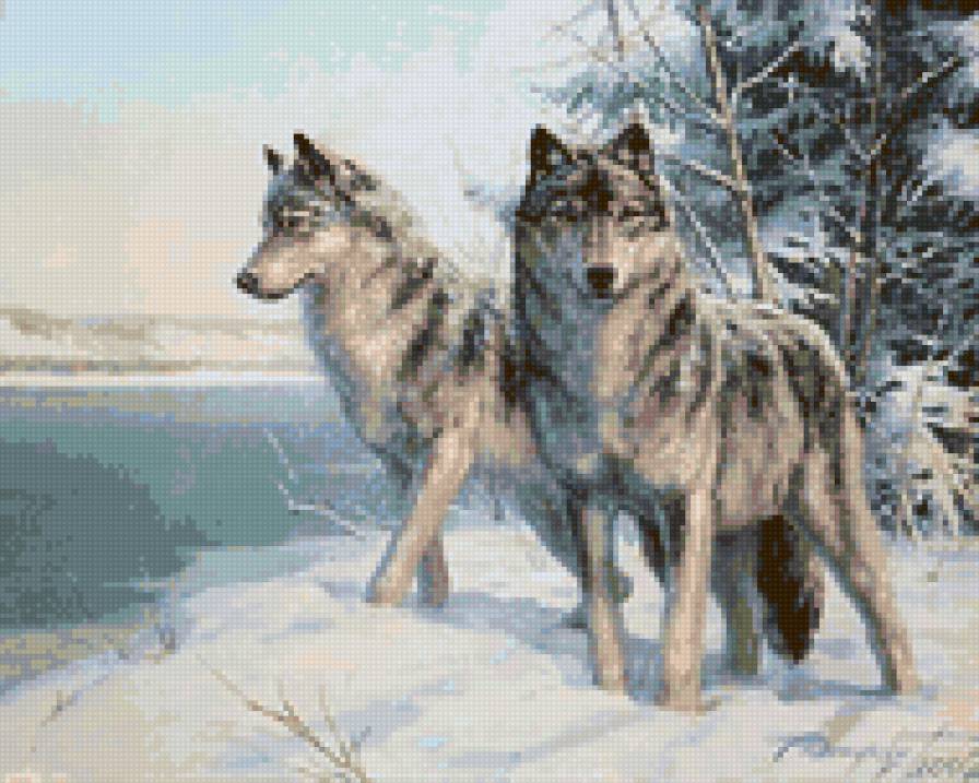 0017 - живопись, красота, картина, волки, животные, зима - предпросмотр
