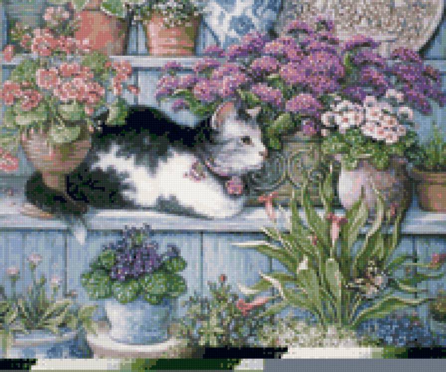 киска - предпросмотр