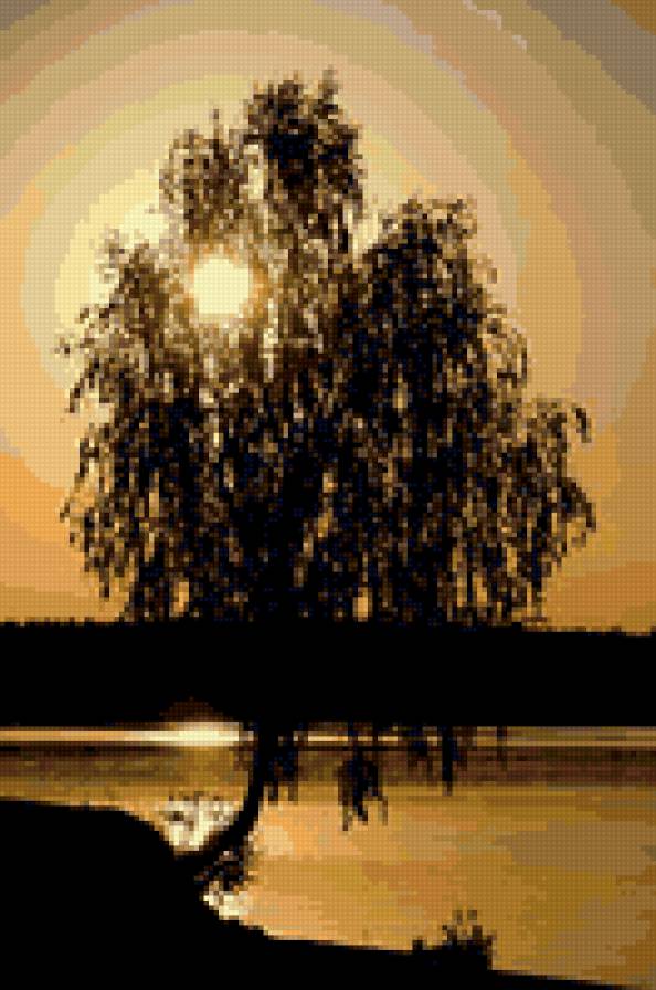 закат - силуэт, вола, дерево - предпросмотр