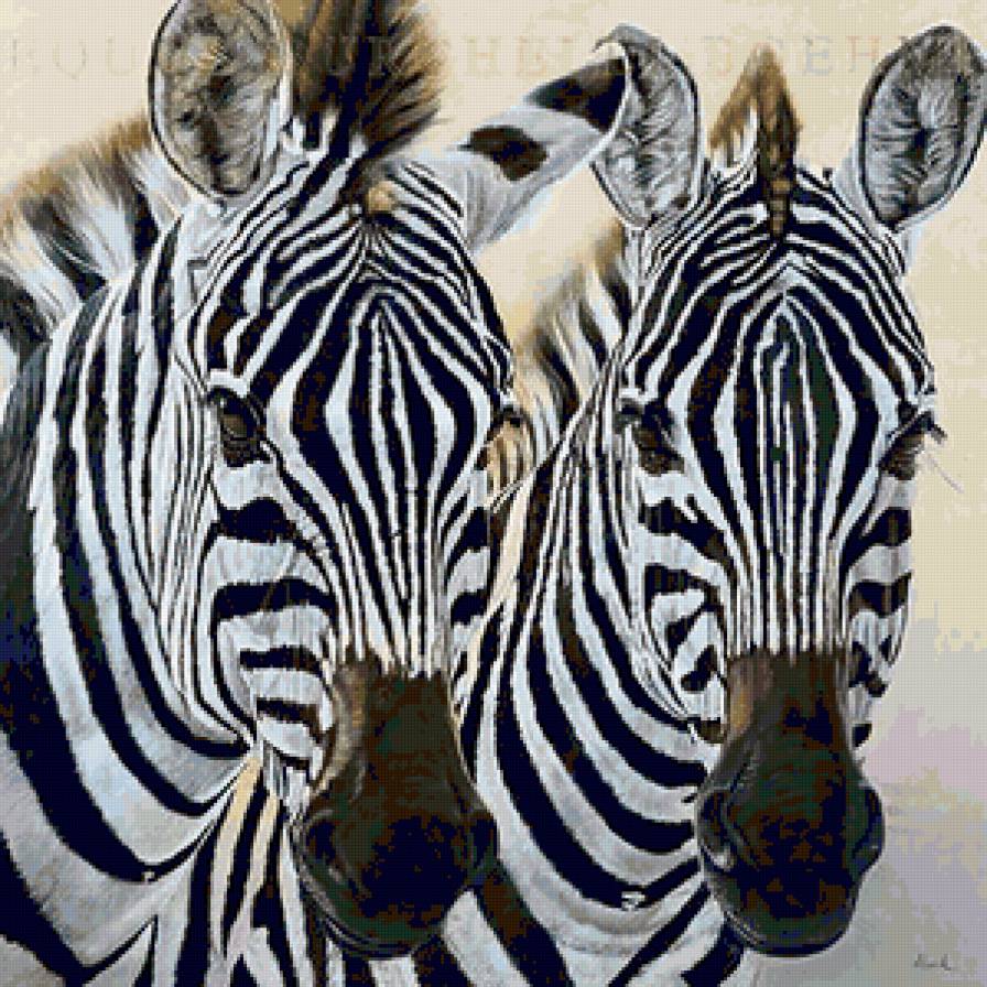 зебры - животные, черно-белый, зебра - предпросмотр