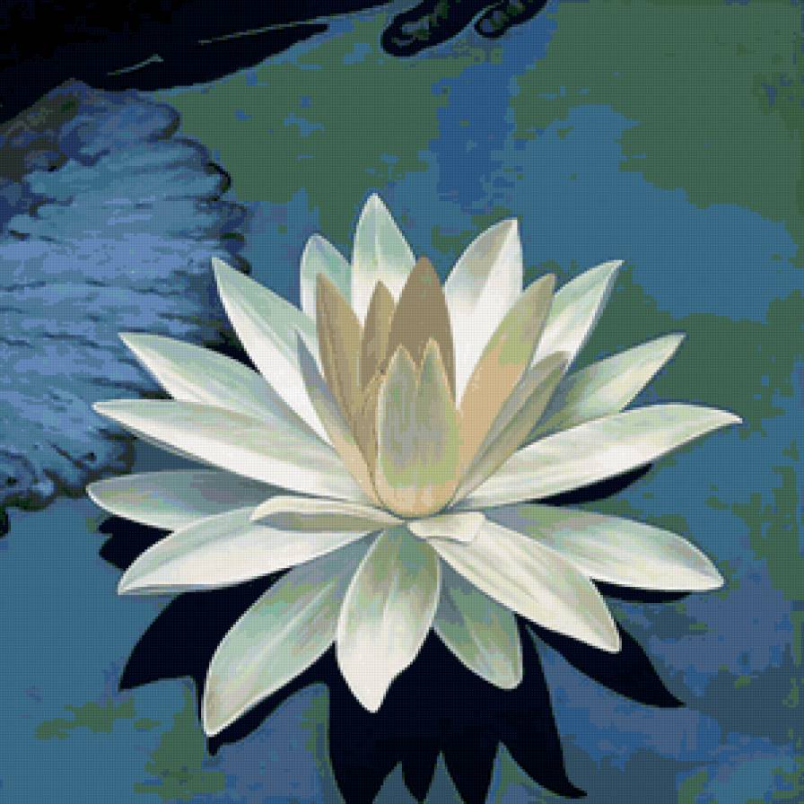 Лотос - цветы, вода, природа - предпросмотр