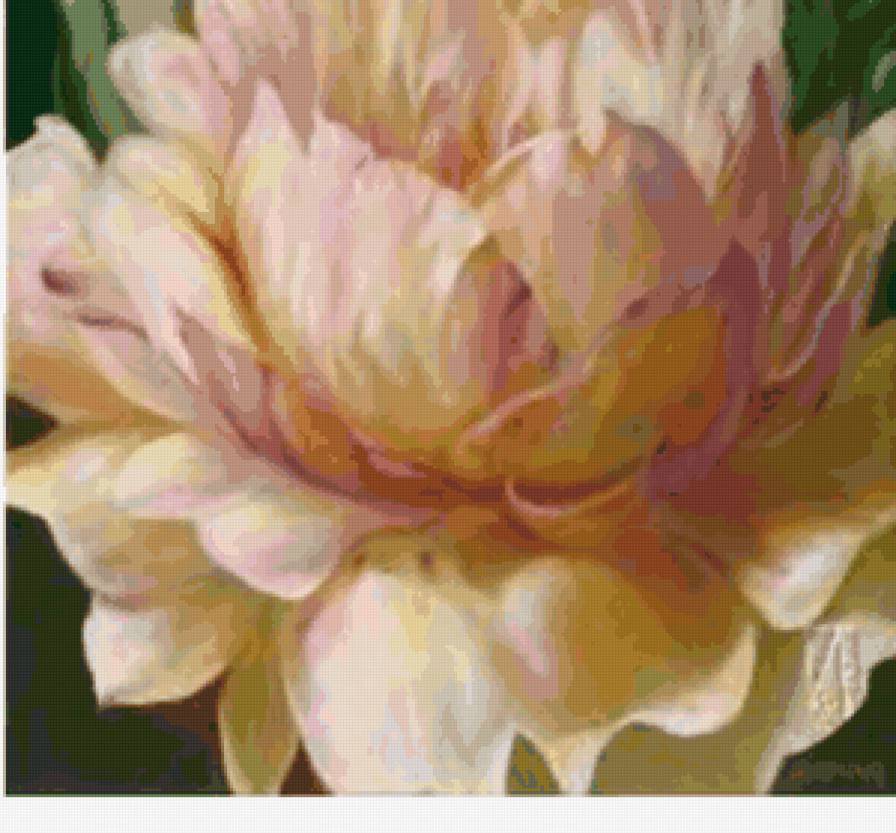 Пион часть 2 - предпросмотр