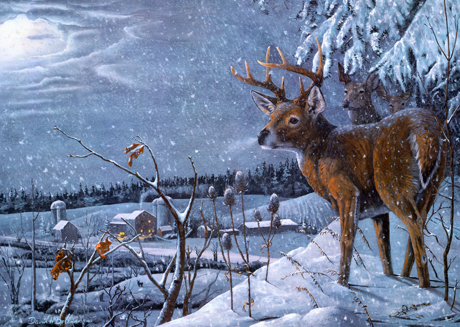 Олени - зима, живопись, животные - оригинал