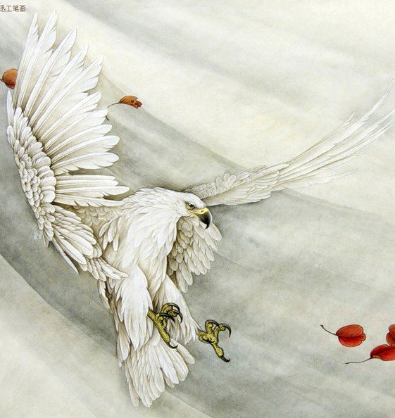 Белый орел - картина, птицы, гохуа, орел, живопись - оригинал