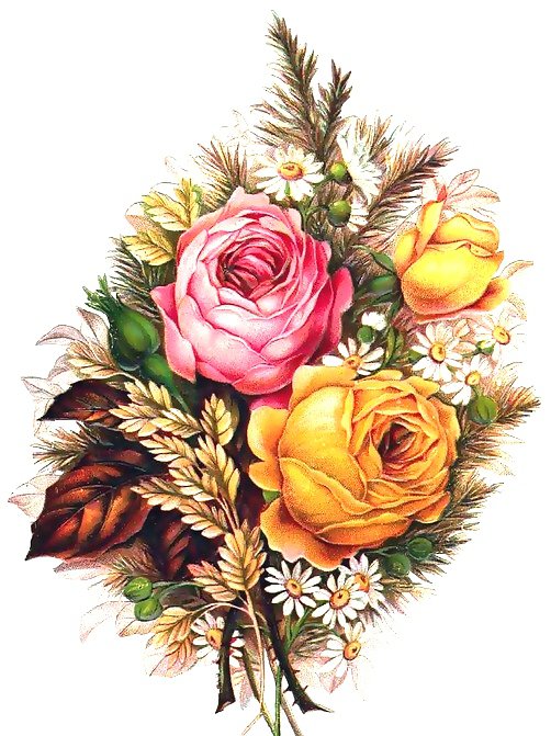 Розы и ромашки - ромашки, цветы, флора, роза, душистые розы, розы, розочки - оригинал