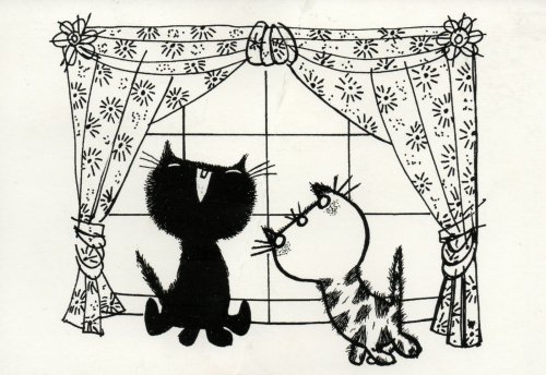 Два кота - коты, кошки, котик, животные, кошка, котята, окно - оригинал