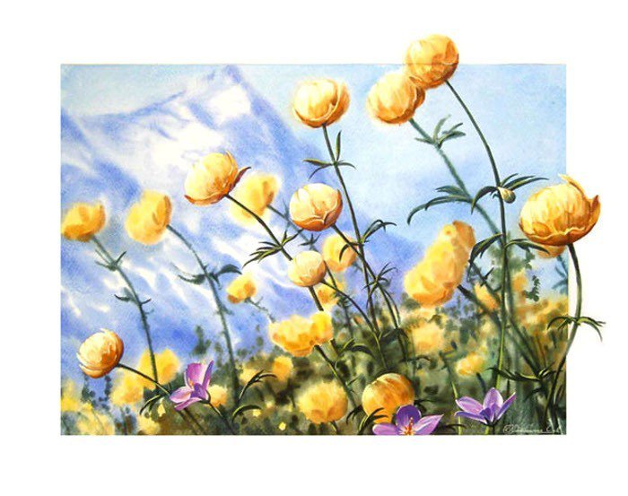 Украина.поле летних пионов - моя страна - оригинал