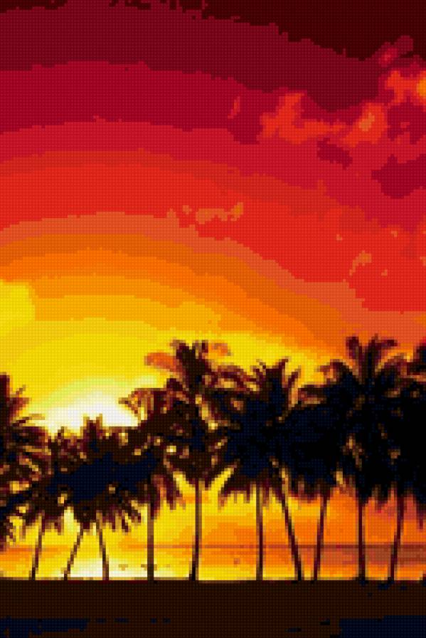Пальмовый закат - пальмы, закат, лето - предпросмотр