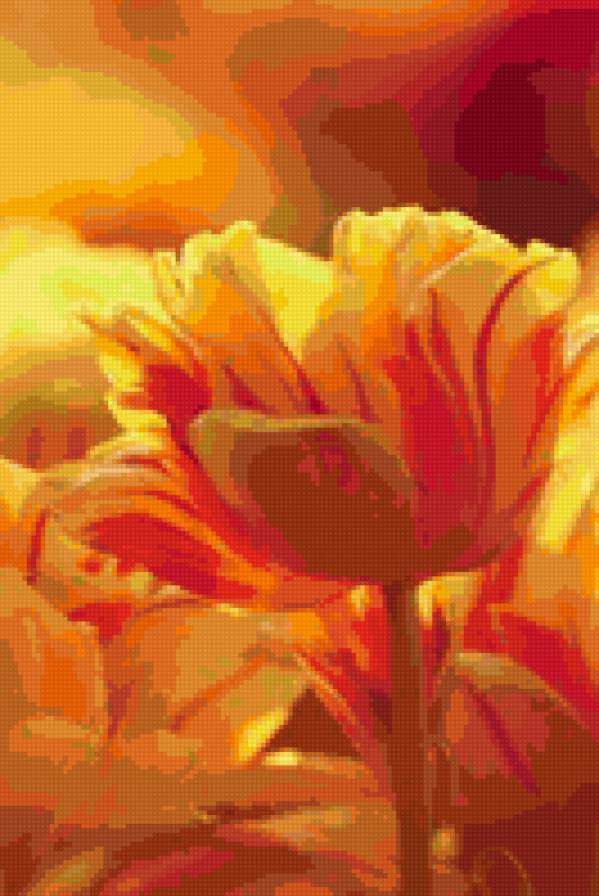 Солнечный тюльпан - тюльпан, цветок - предпросмотр