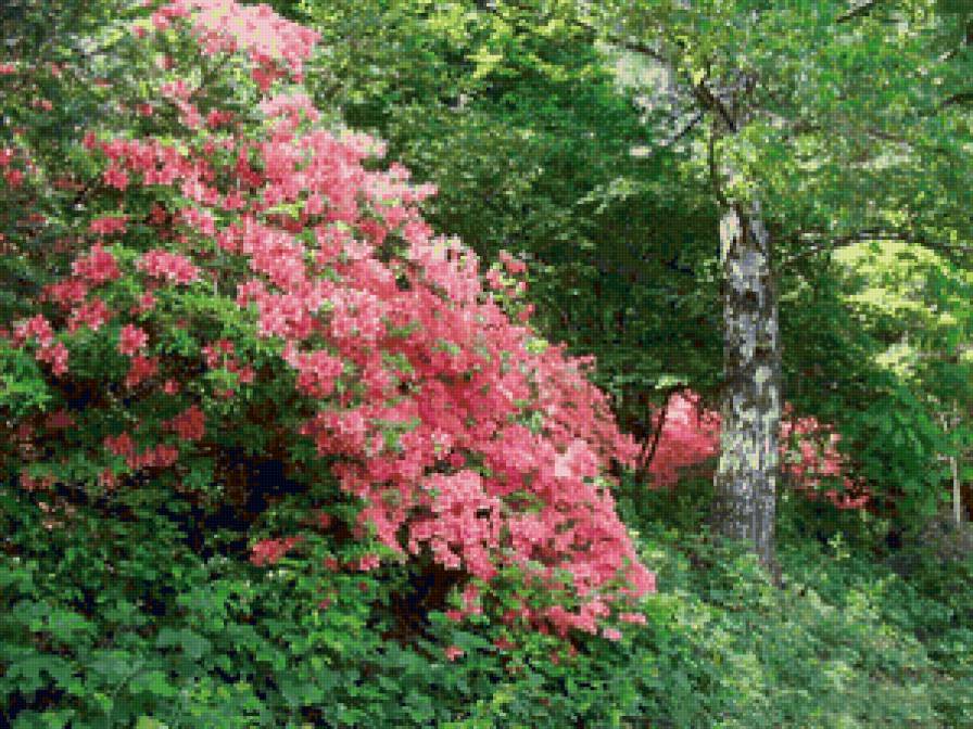 №65787 - предпросмотр