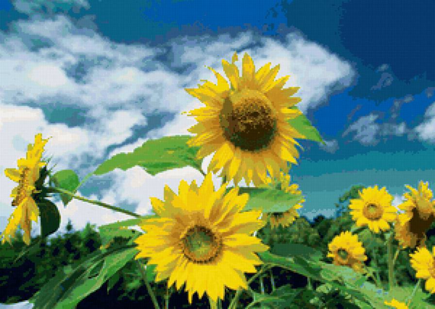 №65801 - предпросмотр