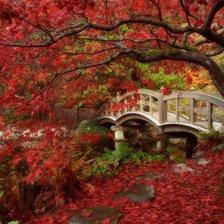 Схема вышивки «№65824»