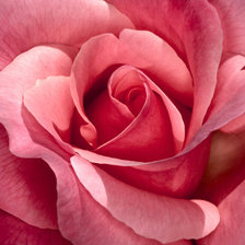 Схема вышивки «№65856»