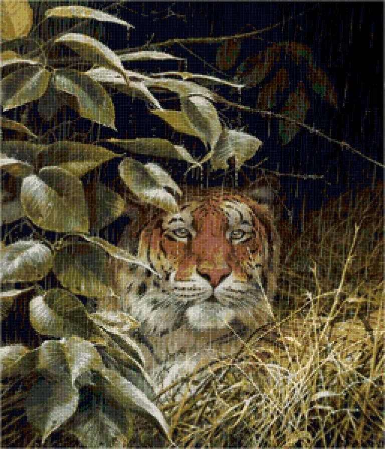 тигр - картина, кошки, животные, дождь, тигры, хищники - предпросмотр