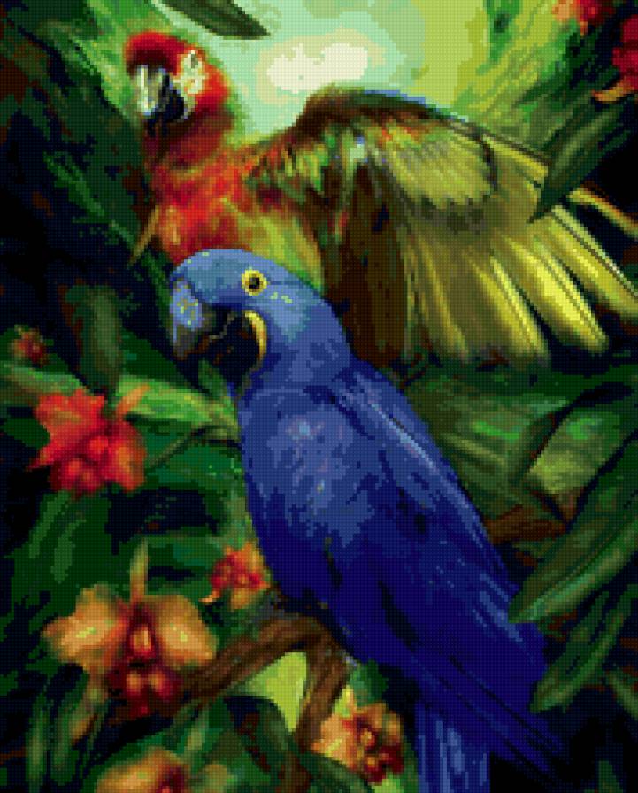 попугаи - попугаи - предпросмотр