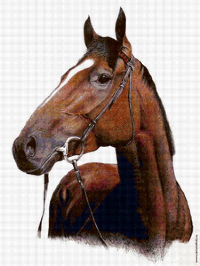 527 - животные - предпросмотр