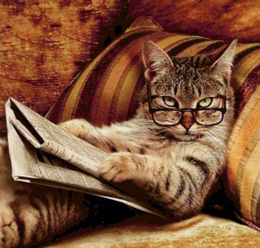 кот на диване с газетой - кот, газета, диван, очки, умный - предпросмотр