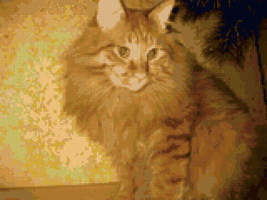 рыжий - маисей - предпросмотр