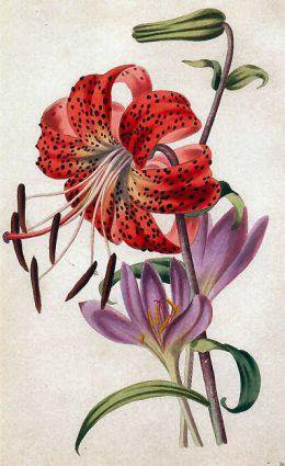 Букетик - цветы - оригинал